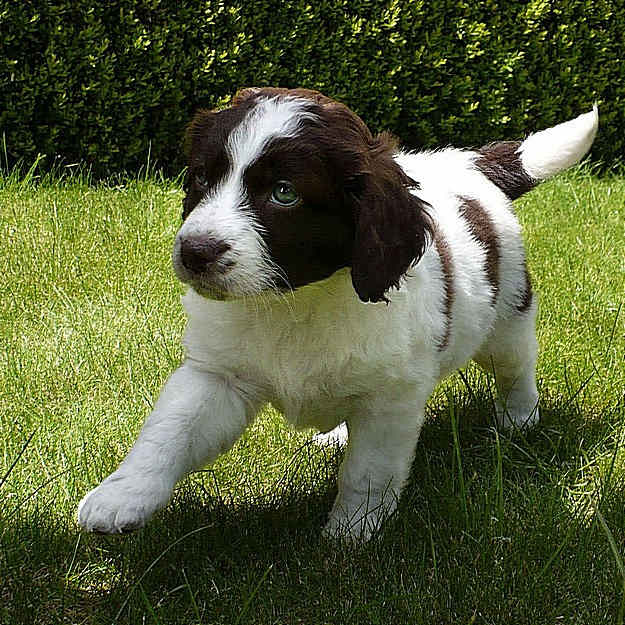 n_14-P1040193 (1).jpg